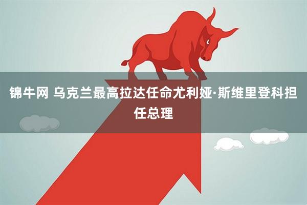 锦牛网 乌克兰最高拉达任命尤利娅·斯维里登科担任总理