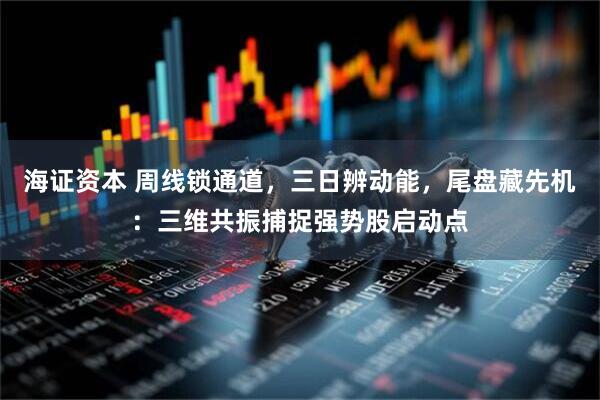 海证资本 周线锁通道，三日辨动能，尾盘藏先机：三维共振捕捉强势股启动点