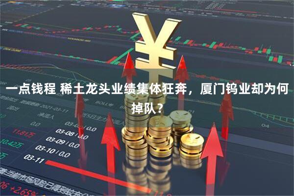 一点钱程 稀土龙头业绩集体狂奔，厦门钨业却为何掉队？
