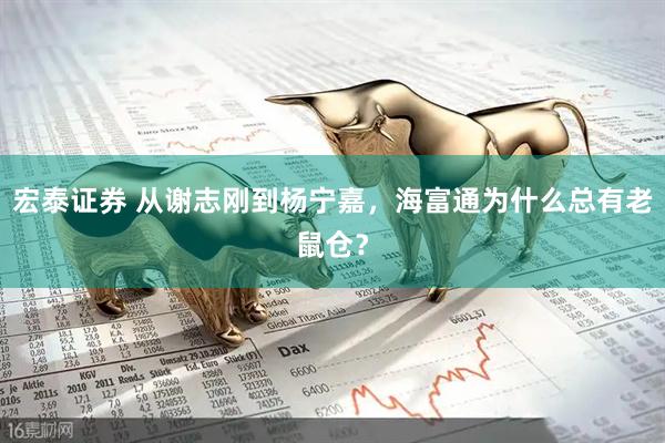 宏泰证券 从谢志刚到杨宁嘉，海富通为什么总有老鼠仓？