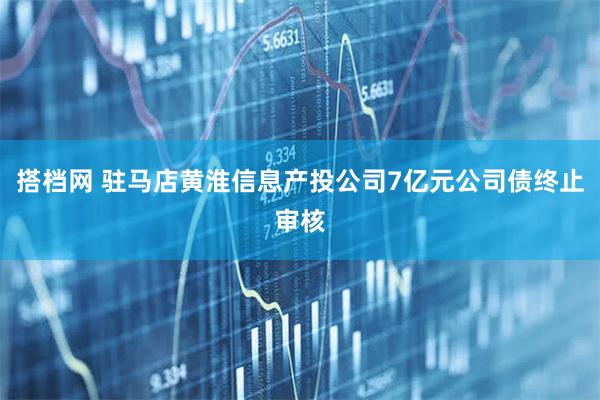 搭档网 驻马店黄淮信息产投公司7亿元公司债终止审核