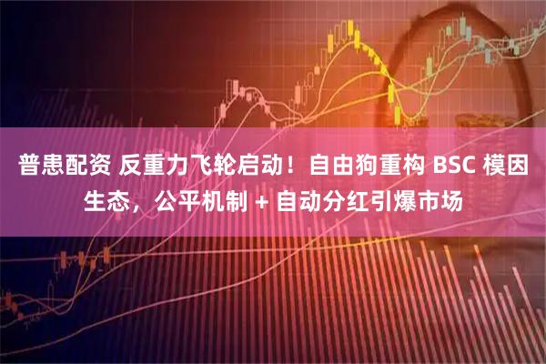 普患配资 反重力飞轮启动！自由狗重构 BSC 模因生态，公平机制 + 自动分红引爆市场