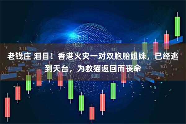 老钱庄 泪目!香港火灾一对双胞胎姐妹,已经逃到天台,为救猫返回而丧命