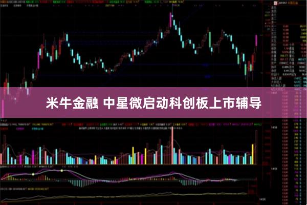 米牛金融 中星微启动科创板上市辅导