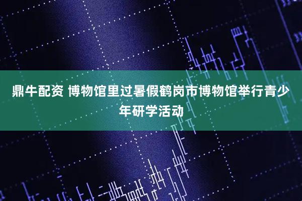 鼎牛配资 博物馆里过暑假鹤岗市博物馆举行青少年研学活动
